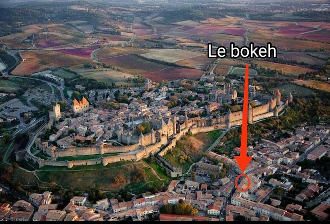 Le Bokeh - Face A La Cite Medievale Каркассон Экстерьер фото